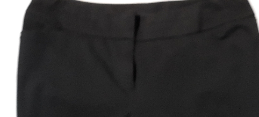 Dress pants